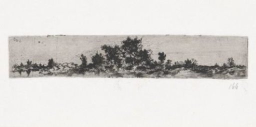 Landscape with a tree in the middle