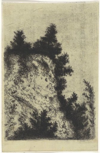 Rocky outcrop covered with shrubs