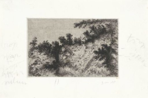 Rocky outcrop covered with shrubs