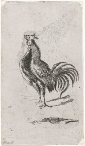 Rooster