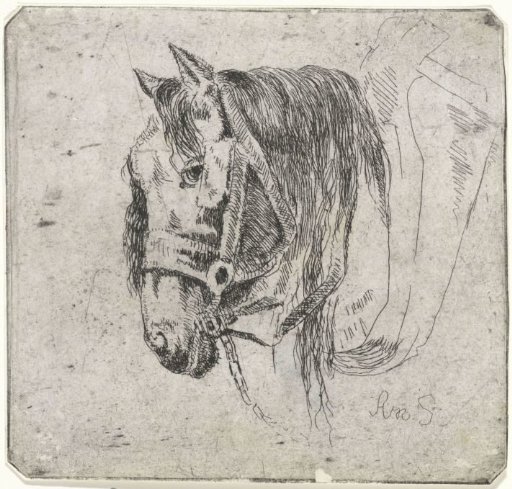 Horse's head