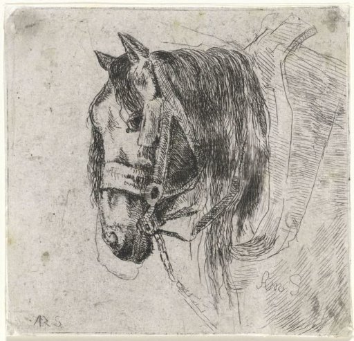 Horse's head