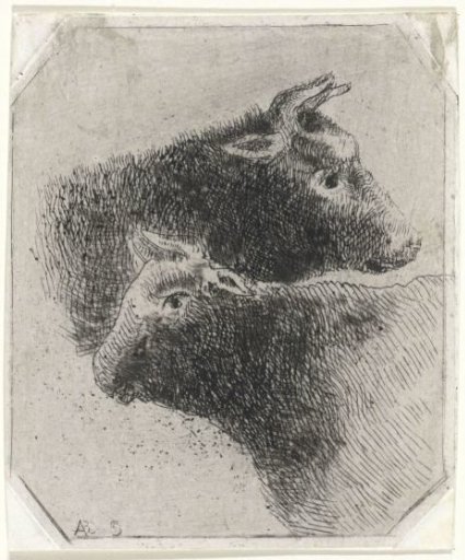 Two cow heads