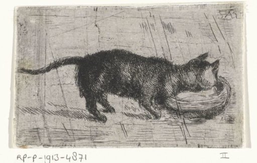 Drinking cat