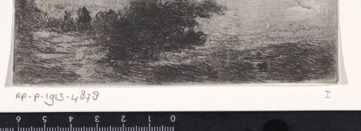 Landscape with a tree