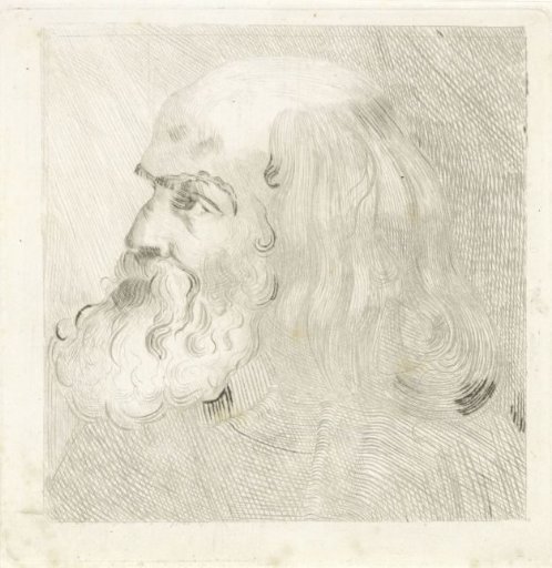 Head of an old man