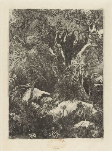 Wooded landscape