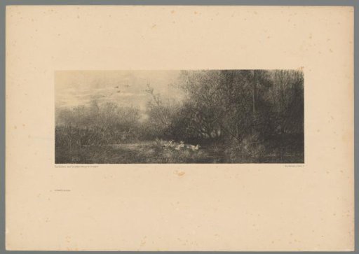 Landscape with ducks