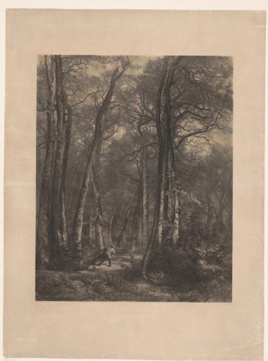 Forest with woodcutter