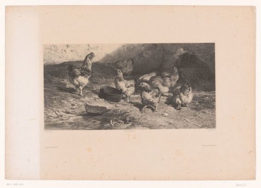 Eight chickens