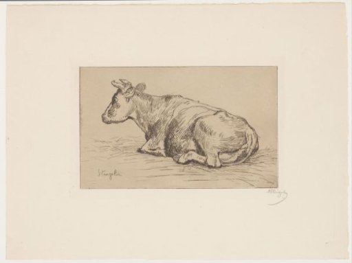 Lying cow