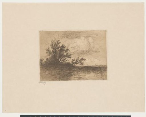 Landscape with water and trees