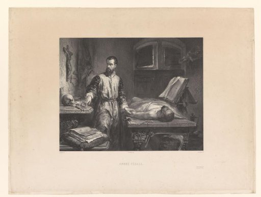 Andreas Vesalius in his study