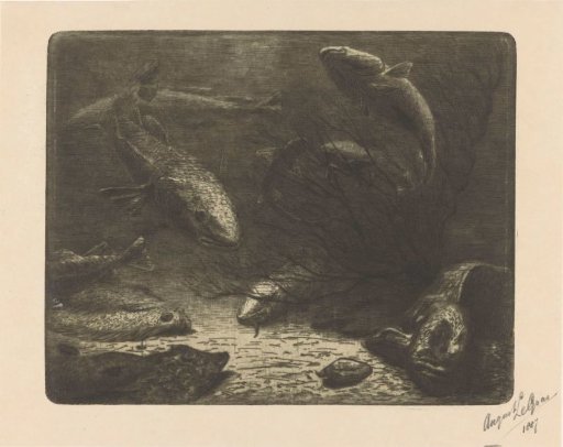 Aquarium
