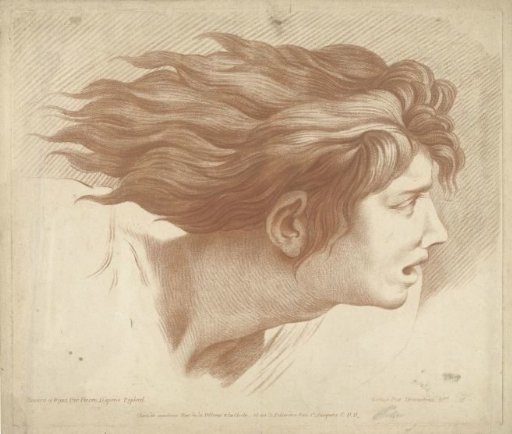 Head of a man with flowing hair