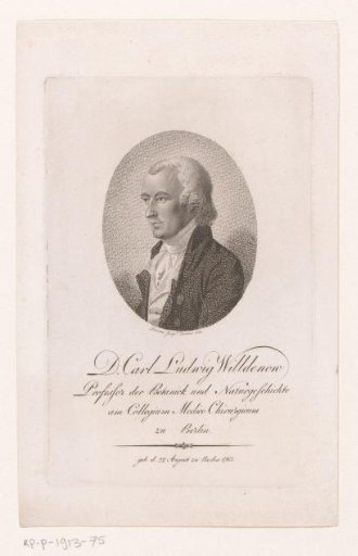 Portrait of Carl Ludwig Willdenow