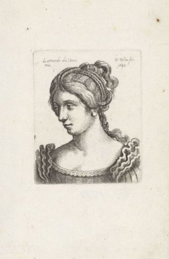 Head of a woman with various braids in her hair