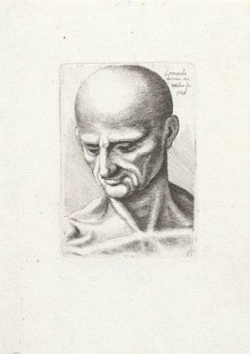 Head and neck of a sinewy bald man