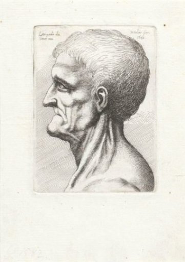 Head of a toothless old man, in profile