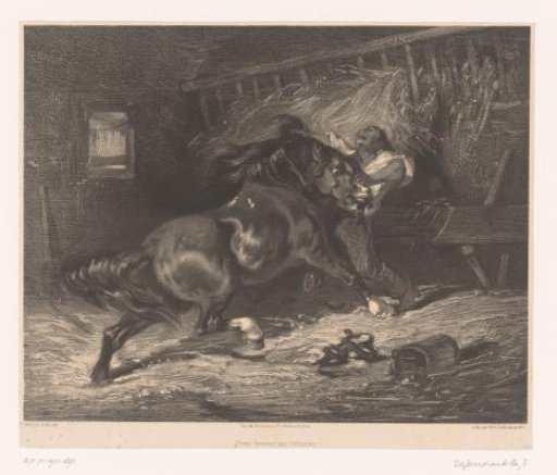 Horse attacks its groom