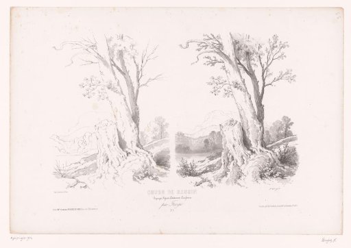 Mountain landscape with trees and lake