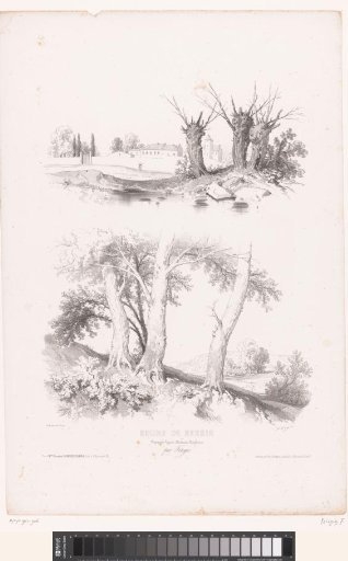 Pollard willows by the water and hilly landscape with trees