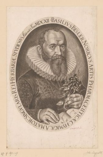 Portrait of Basilius Besler