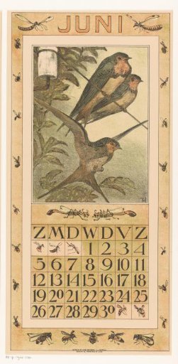 Calendar page June with swallows