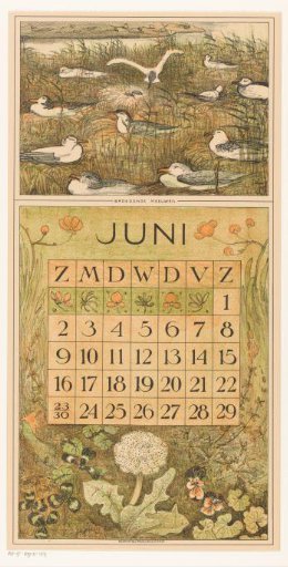 Calendar leaf for June with nesting seagulls