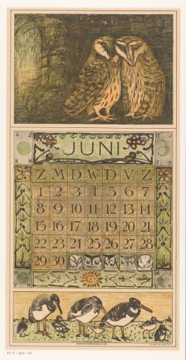 Calendar page June with owls and oystercatchers