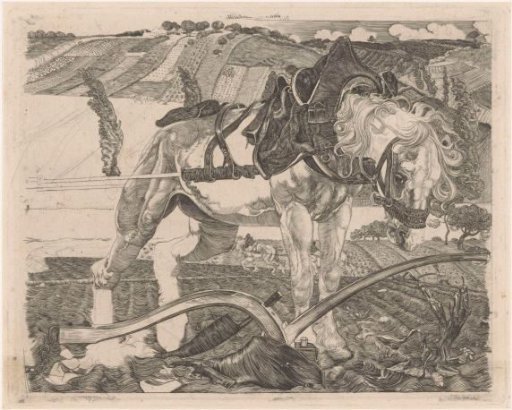 Ploughing horse on a hill