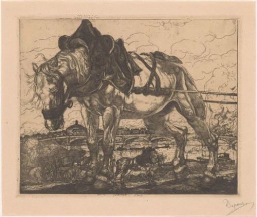 Draft horse by the Seine in Paris