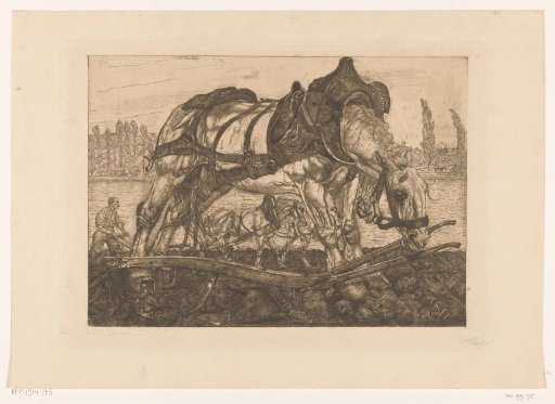 Plough horse on the banks of the Seine