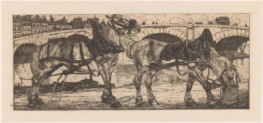 Two draft horses by the Seine in Paris