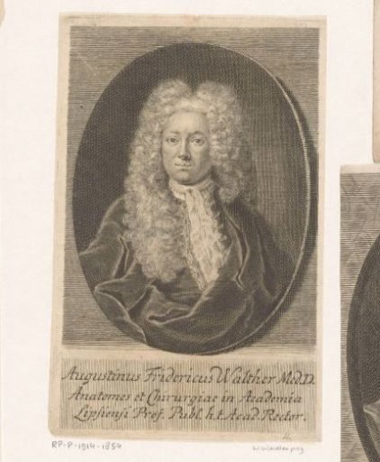 Portrait of Augustin Friedrich Walther