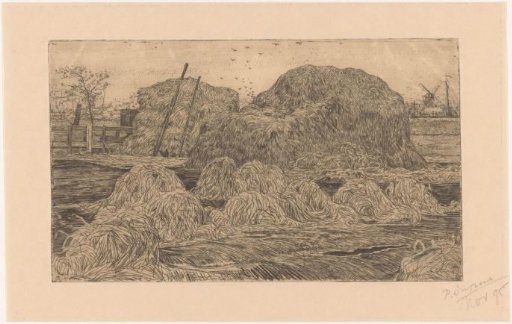 Haystacks on a field