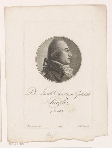 Portrait of Jacob Christian Gottlieb von Schaeffer
