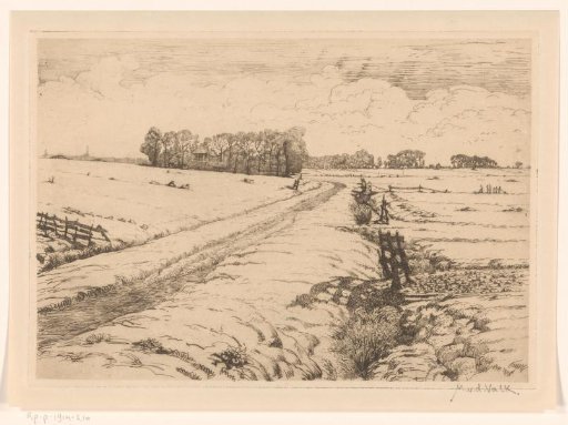 Landscape with meadows, farmhouses and country road