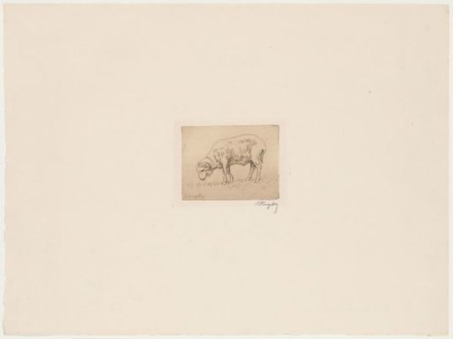 Study of a ram