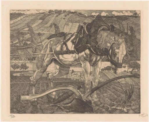 Ploughing horse on a hill