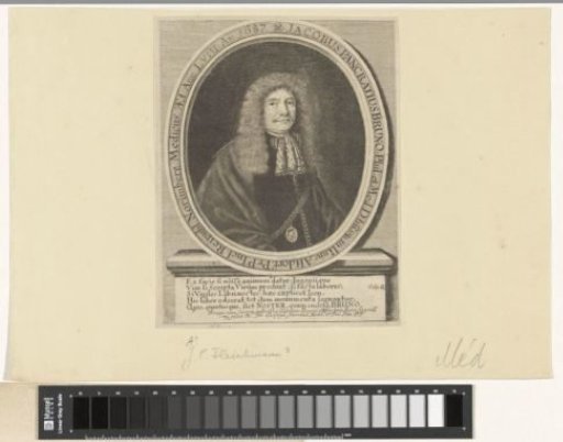 Portrait of Jacob Pancratius Bruno at the Age of 58