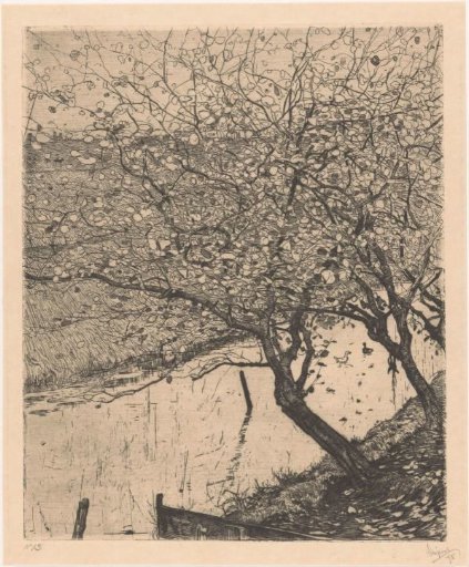 Leaning apple trees along a ditch