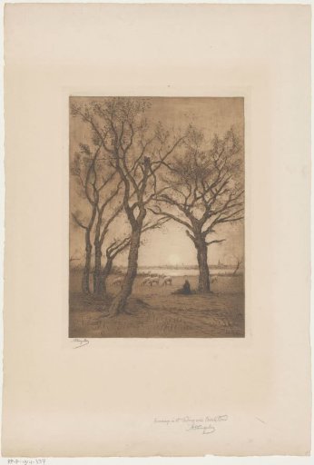 Landscape with sheep at sunset
