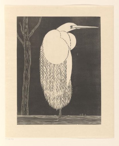 Grey Heron
