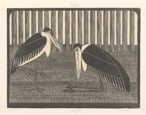 Two Marabou Storks