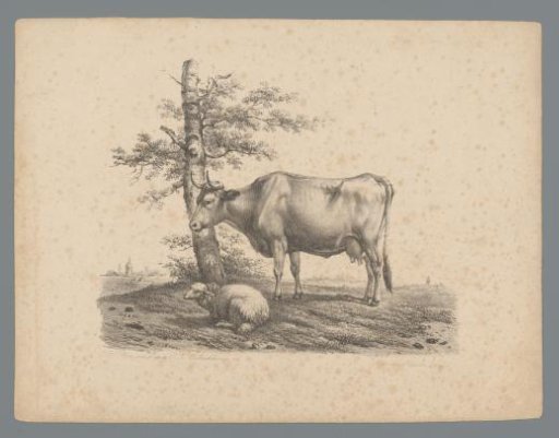 Sheep and cow by a tree