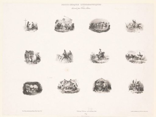 Twelve views of human activities and animals
