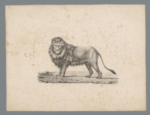 Standing lion