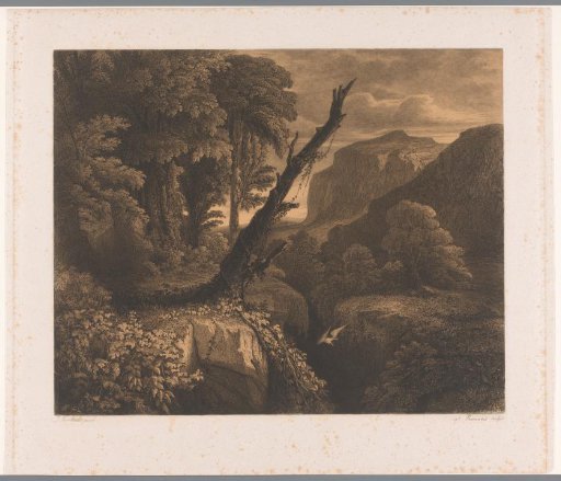 Mountain landscape with a bird flying through a ravine