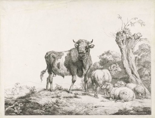 A bull, a ram and two lying sheep by a pollard willow